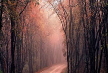 名记：阿根廷队取消10月份中国行，将前往美国对阵墨西哥，阿根廷回应中国