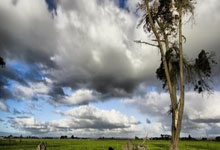 足球明星大放异彩，率队夺得胜利！