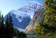 足球明星大放异彩，率队夺得胜利！