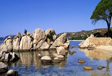 名记：阿根廷队取消10月份中国行，将前往美国对阵墨西哥，阿根廷回应中国