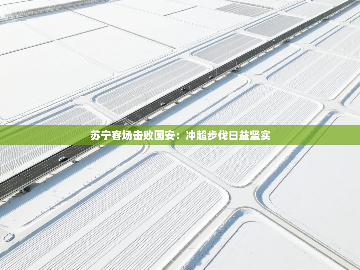 苏宁客场击败国安：冲超步伐日益坚实