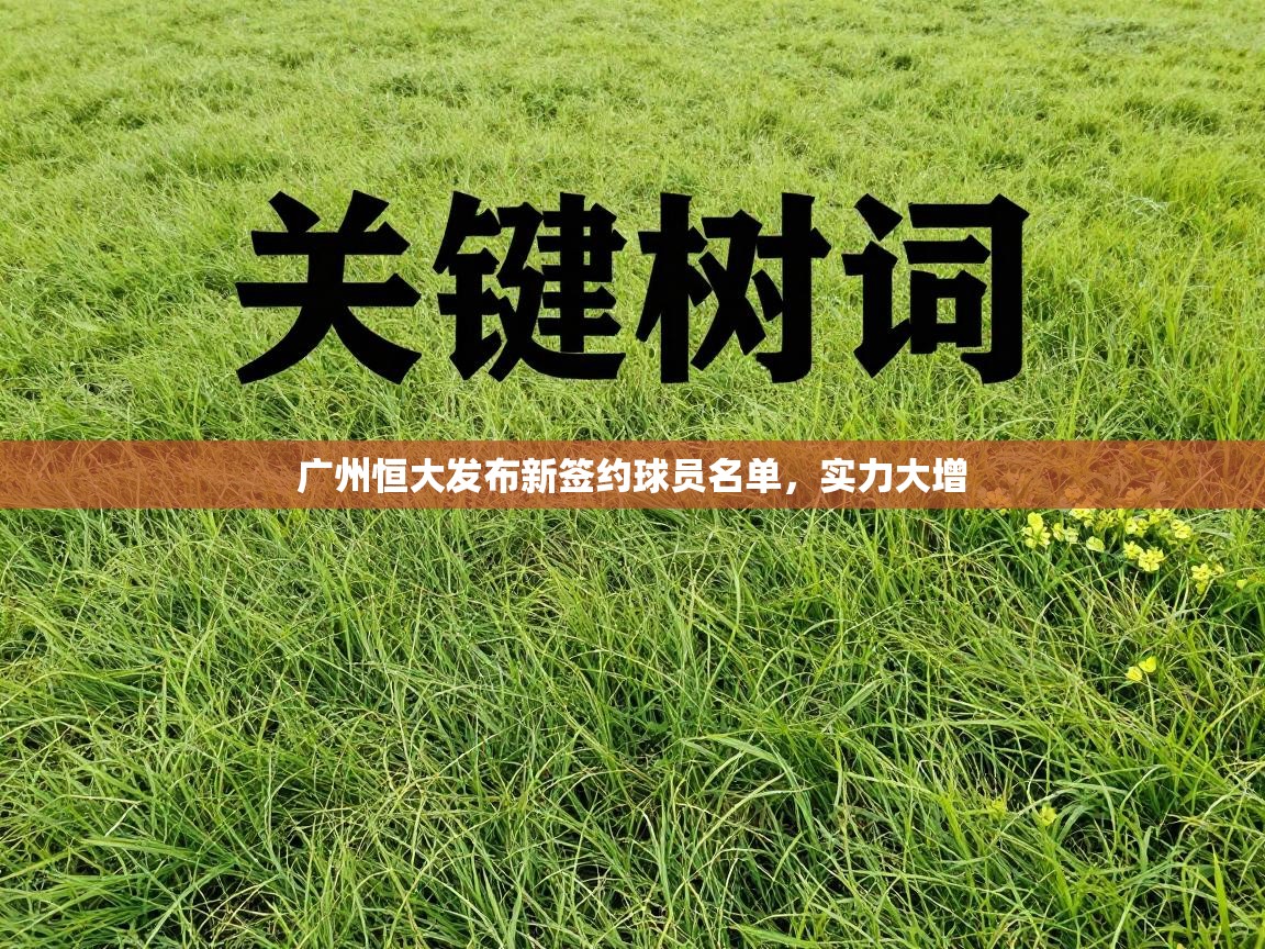 广州恒大发布新签约球员名单,实力大增